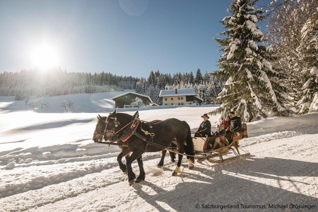 Hideaway Dachstein West By Alps Resorts Sankt Martin am Tennengebirge Εξωτερικό φωτογραφία